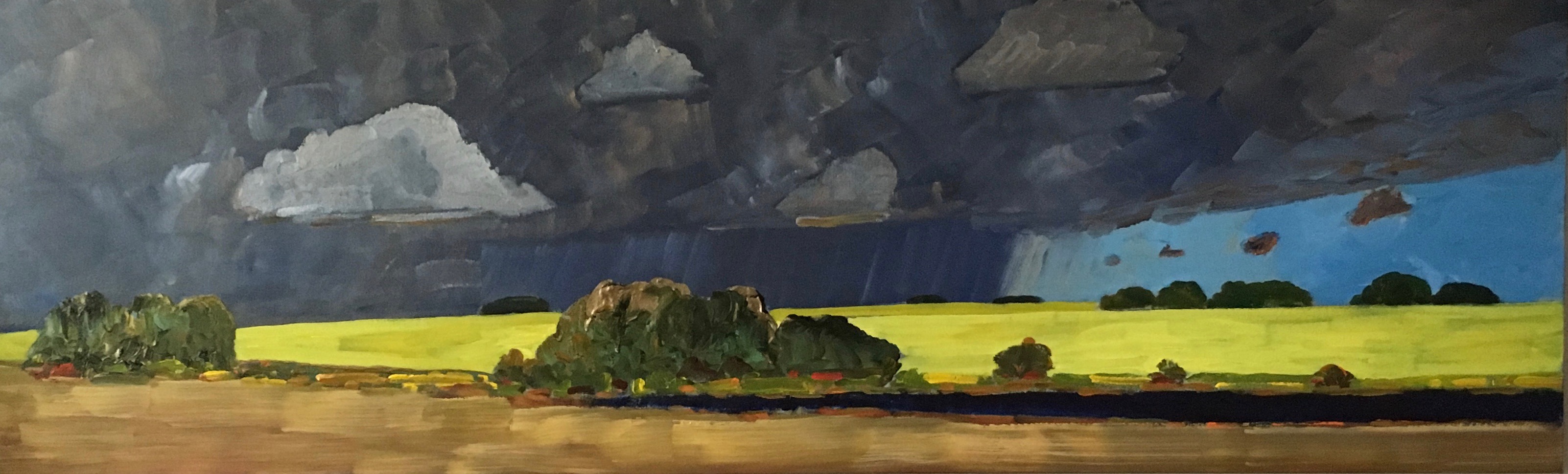 Yellow Field Dark Sky 2017 acrylic on canvas 28_ x 90_