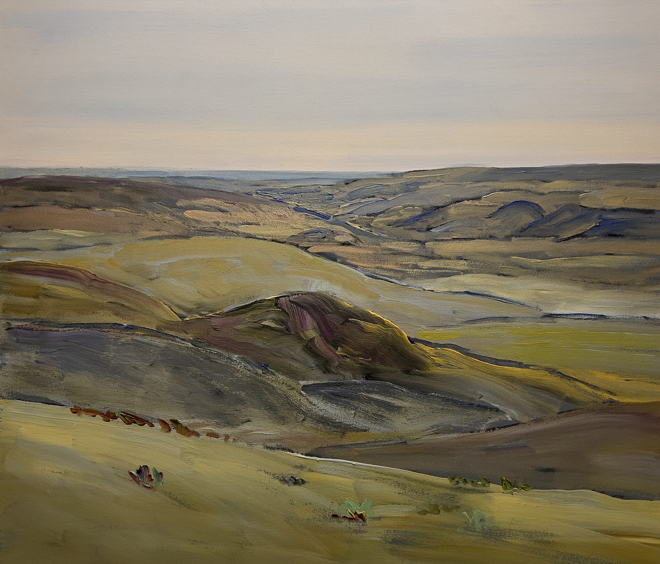 Dark Hills, Grasslands 2022 acrylic on canvas 38 x 44