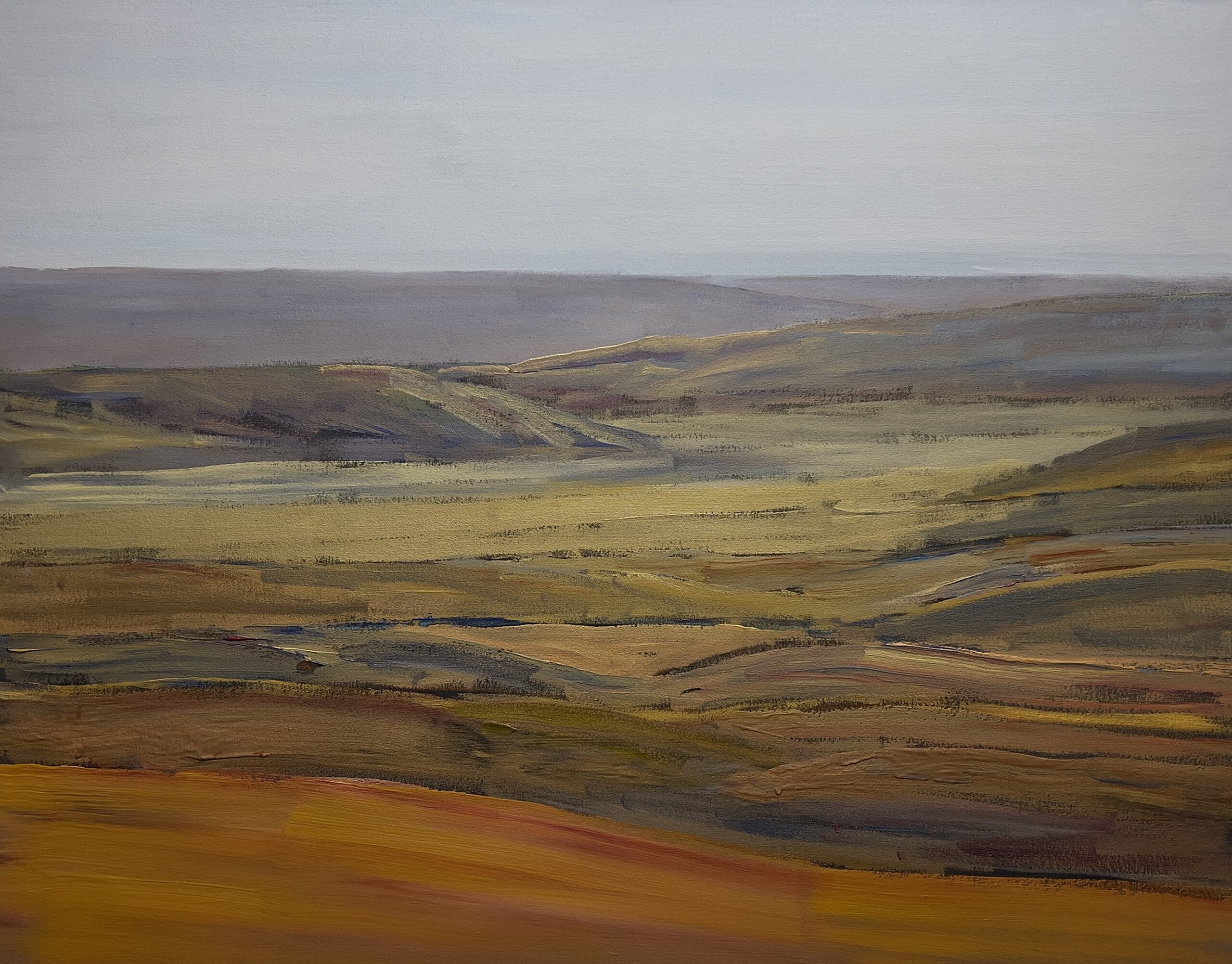 Down the Valley, Grasslands 2022 acrylic on canvas 35 x 44